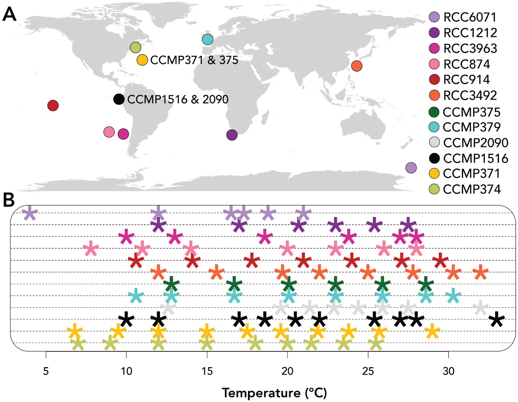Intraspecific diversity