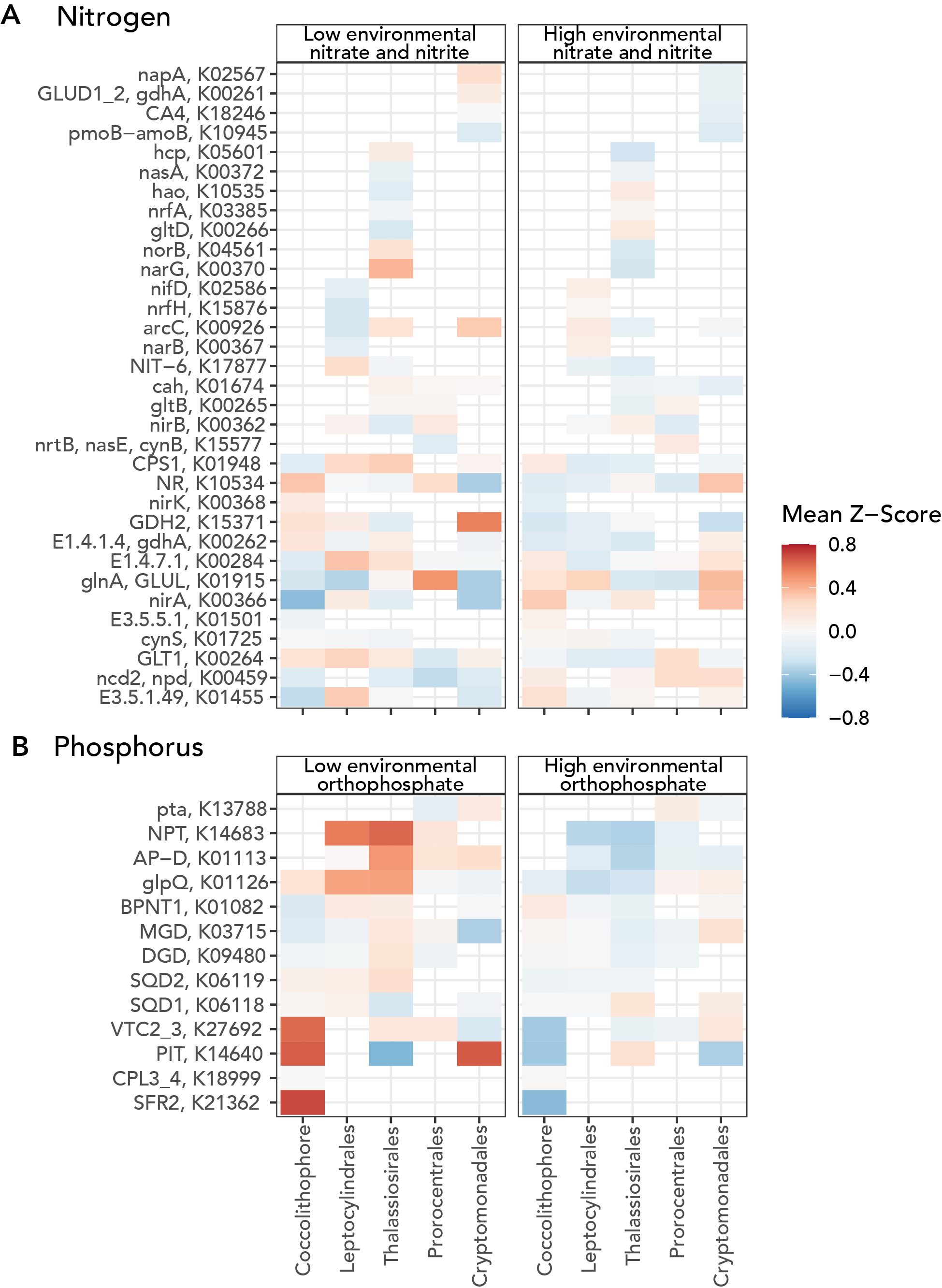 Time series gene expression data for coastal phytoplankton dynamics