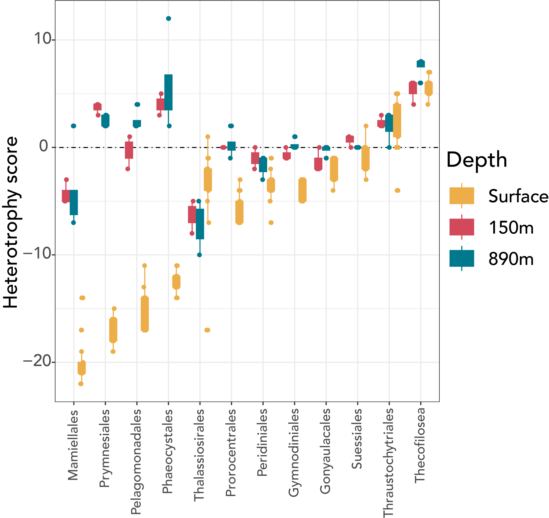 Models that predict protistan trophy
